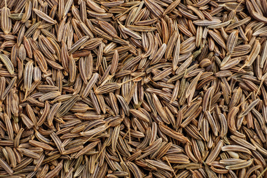 Sesame Seeds